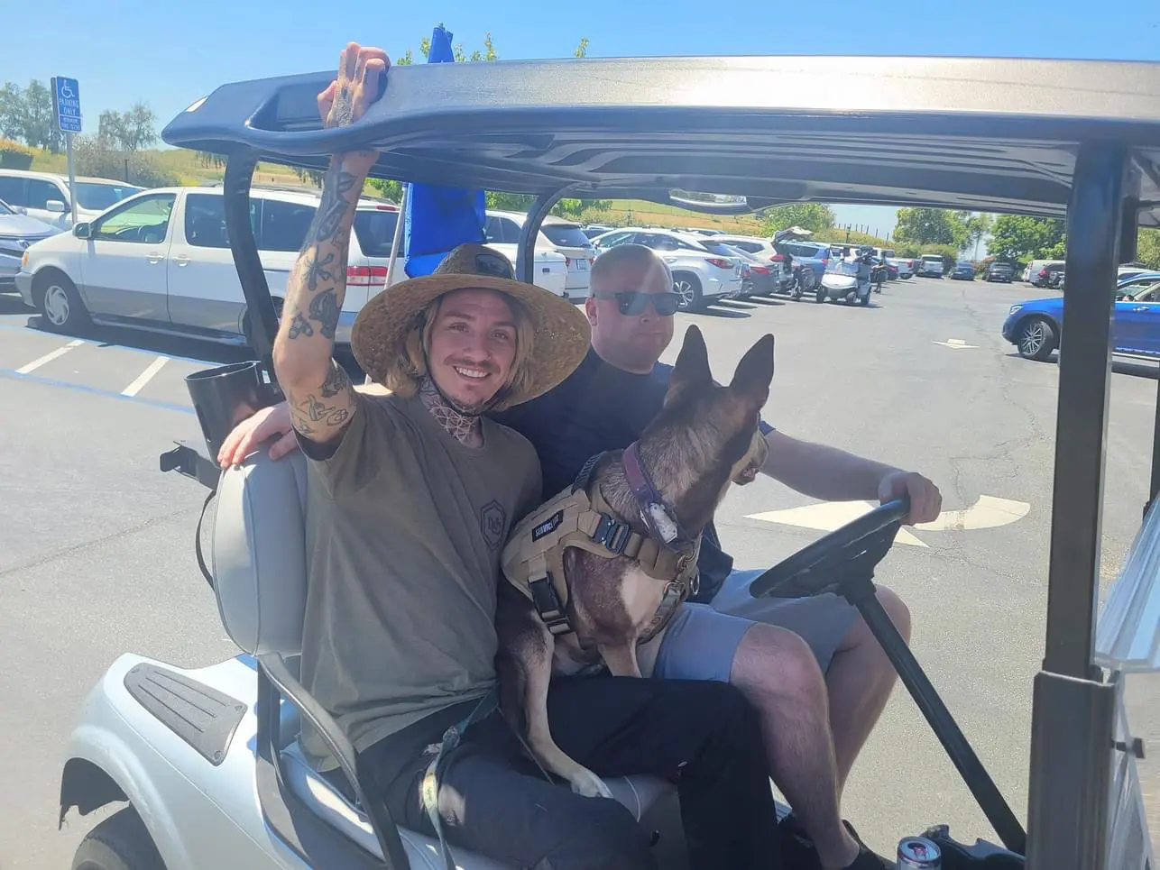 Two men and a dog in a golf cart.